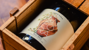 Un malbec que revive prácticas de elaboración milenarias y cuenta la historia del Oasis Sur mendocino