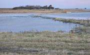 Siguen los reclamos en Pila por un terraplén que cierra una laguna