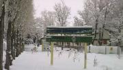 Murió un criancero en el norte neuquino: la nieve complica la investigación