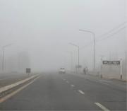 Niebla en el Alto Valle de Neuquén y Río Negro: rutas y calles con problemas de visibilidad este viernes