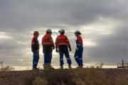 TotalEnergies recibió ofertas por dos bloques de Vaca Muerta en la ventana del petróleo