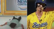 VIRAL: El bochornoso momento que vivió un beisbolista al intentar dar un salto mortal durante una transmisión en vivo