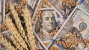 El efecto disruptivo de las retenciones: “Más de USD 200.000 millones se fugaron del interior productivo”