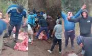 Faenaron vacas al costado de un camino rural en Córdoba: Si hay miseria que no se note