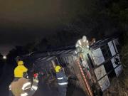 Un camión jaula cargado de vacas volcó en Córdoba: pobladores faenaron varios animales