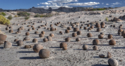 El inesperado visitante que sorprendió a todos en la Cancha de Bochas de Ischigualasto