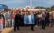 Una vaca de Claromecó repitió el título de Gran Campeón Hembra en La Rural de Palermo