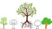 Test psicológico: dime cómo dibujas el árbol y te diré cómo es tu personalidad