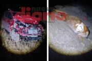 Viajaba en camioneta y se salvó de morir en brutal choque con una vaca