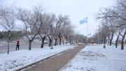 La nieve no da tregua en Neuquén capital: aseguran que a la tarde será más fuerte