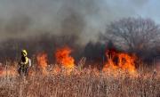 Santa Cruz registra 3.494 focos de calor y un incendio forestal en Puerto Suárez