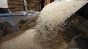 Gobierno firmó contrato para arroz argentino por Bs 145,5 millones, Insumos observa calidad y quiere recuperar Bs 63 MM