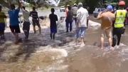 VIDEO: Habilitaron paso entre Guárico y Apure tras colapso de carretera por crecida del río Portuguesa