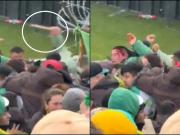 Locura en Mar del Plata: la barra de Aldosivi a los facazos tumberos en plena popular durante el partido con Newell's