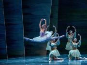 El Ballet del Teatro Colón brilló con un Don Quijote que recupera el tono de comedia del original