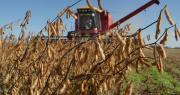¿Cuáles son los productos agropecuarios que pagarán menos retenciones?