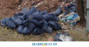 Macabro hallazgo: identificaron el cuerpo desmembrado en Córdoba