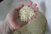 Insumos Bolivia rechaza importación de arroz contaminado y busca recuperar anticipo de Bs 63 millones