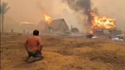 Investigador asegura que no se aplicó la pausa ambiental porque Gobierno no elaboró el reglamento