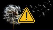 Alerta meteorológica: el viento podría alcanzar los 100 km/h en estas provincias este 27 de julio