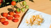 Asuntos de plantas: te explico cómo germinar semillas de tomate en casa y crear tu propia huerta