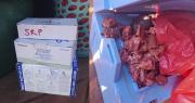 Dos aprehendidos por transportar carne en recipiente para vacunas: “Rompieron la cadena de frío”, dice ministra