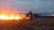 Varias dotaciones de Bomberos trabajaron para contener un incendio en un campo
