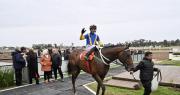 Una fiesta en el Hipódromo: se corrió el Especial La Plata Capital y hubo visitas guiadas