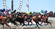 Hipódromo de La Plata: este domingo se corre el premio “Especial La Plata Capital”