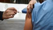 Dengue: recomiendan vacunarse en invierno para alcanzar la inmunización completa antes del verano 