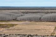 Catriel, la primera ciudad petrolera de Río Negro, mira al agro ante su crisis laboral