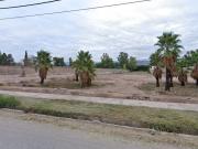 Femicidio en Mendoza: encuentran a una mujer asesinada con un mensaje en el cuerpo y su pareja es el principal sospechoso