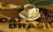 Las mejores 20 marcas de café de supermercado en Argentina, según la Inteligencia Artificial