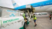 El Gobierno inició el proceso de privatización de Intercargo