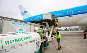 Javier Milei acelera las privatizaciones: la empresa estatal Intercargo va rumbo a subasta total