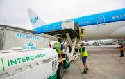 La motosierra ataca: el Gobierno nacional dispuso el inicio del proceso de privatización de Intercargo