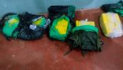 Cargaban mochilas con cocaína en plena ruta: Gendarmería secuestró 83 kilos y detuvo a cuatro bolivianos