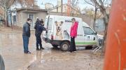 Rescataron perros maltratados y un loro en Cipolletti: uno estaba ciego y otro con fracturas