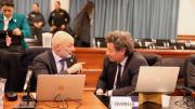 Planes sociales y “voto seguro”: así operaba el MPN según una testigo del juicio por las estafas
