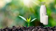 Leche en las plantas: qué beneficios tiene esta curiosa práctica