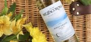 El Pinot Grigio de Mezzacorona: un emblema del estilo italiano