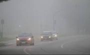 Alerta por neblina: cómo sigue el clima en Santa Fe y en Rosario hoy, martes 29 de julio de 2025
