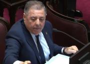Alfredo De Ángeli respaldó el rumbo de Milei aunque advirtió: “El campo está quebrando”