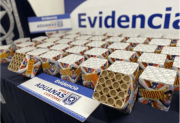 Contrabando de Mendoza a Chile: detienen a un abogado cargado con un arsenal de pirotecnia