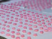 El diablo disfrazado de éxtasis: desmantelan un laboratorio que producía más de 13 mil pastillas en el GBA