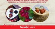 Capacitación sobre producción de cerezas