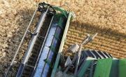Trigo: la incertidumbre del mercado la marca la demanda