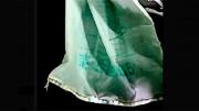 Mar del Plata: encontraron una bolsa con inscripciones chinas en el fondo del mar