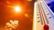 Alertan por una ola de calor en pleno invierno: las temperaturas podrían llegar a 35°C