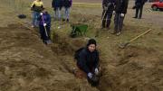 Plantan los primeros pinos en el entorno de la Terminal de Caleta